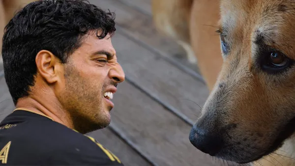 Carlos Vela podría quedarse como el perro de las dos tortas