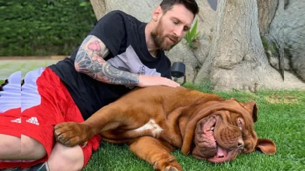 El perro de Messi es una celebridad en las redes sociales, y esto se ha hecho sentir tras la confirmación de que el ídolo argentino jugará dos temporadas en el PSG. Muchas personas se preguntaron qué sucederá con el perro de La Pulga, y aquí están todas las respuestas.