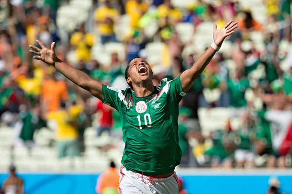 El seleccionado nacional se ha mandado grandes anotaciones en la mejor competencia.