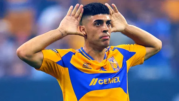 Foto: X de Tigres / Juan Brunetta.