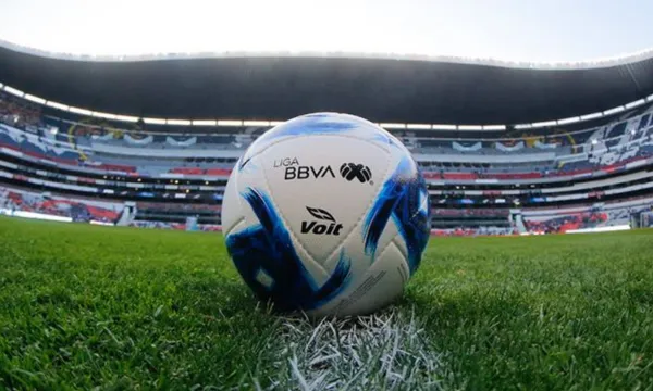 La Liga MX es un torneo competitivo pero a su vez ha ido fomentando el poco interés en el torneo regular, debido a ciertos problemas que trae la fase final