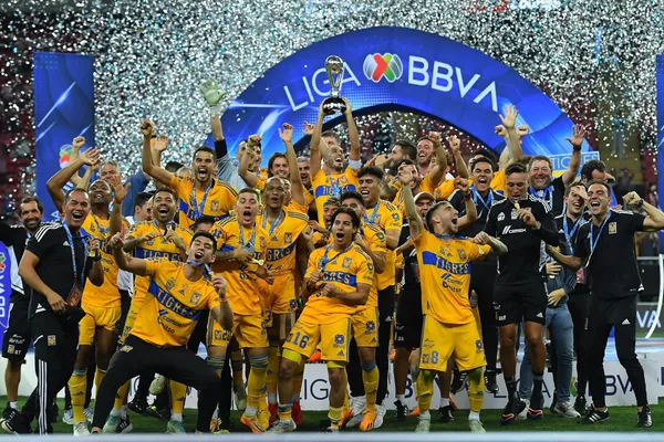 Los felinos ganaron dos títuos en el año, y se quedaron cerca del bicampeonato.