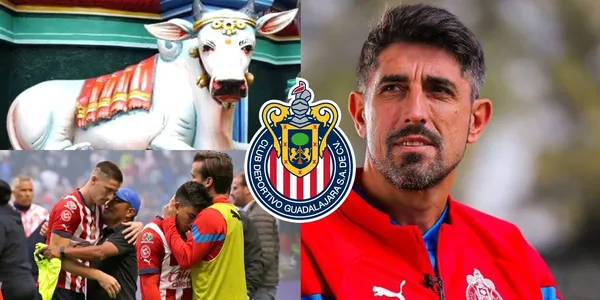 Paunovic quiere limpiar el Rebaño y hecha de manera definitiva a uno de los jugadores problema Chivas