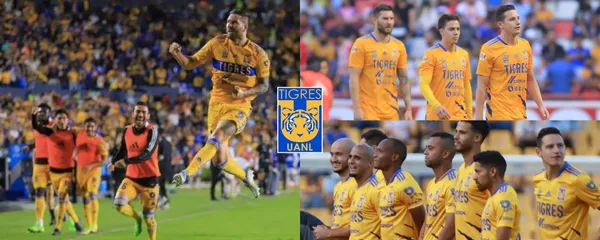 Tigres vence a Necaxa gracias a un anónimo salvador que no fue ni André-Pierre Gignac ni Miguel Herrera.