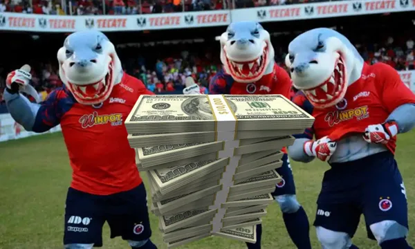 Tres tiburones en el estadio de Veracruz / Liberal el Sur