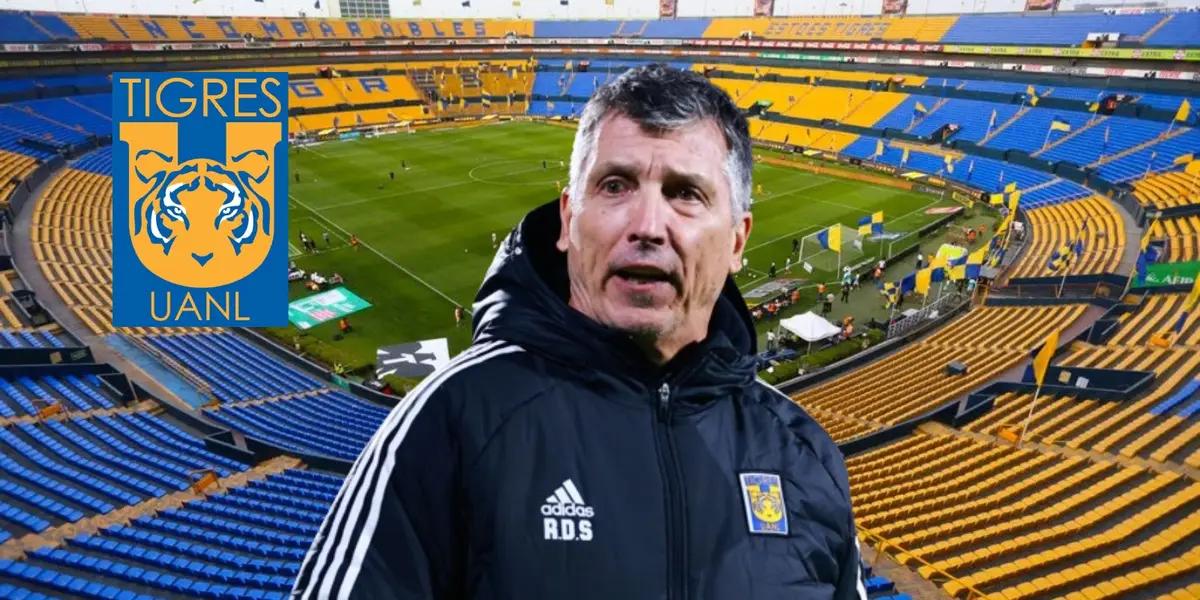 Siboldi en Tigres