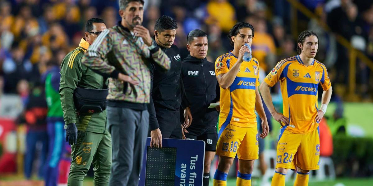 Tigres / Foto: MexSport