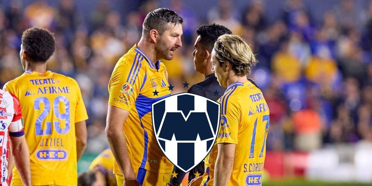 Tigres / Foto: MexSport