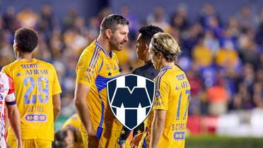 Tigres / Foto: MexSport