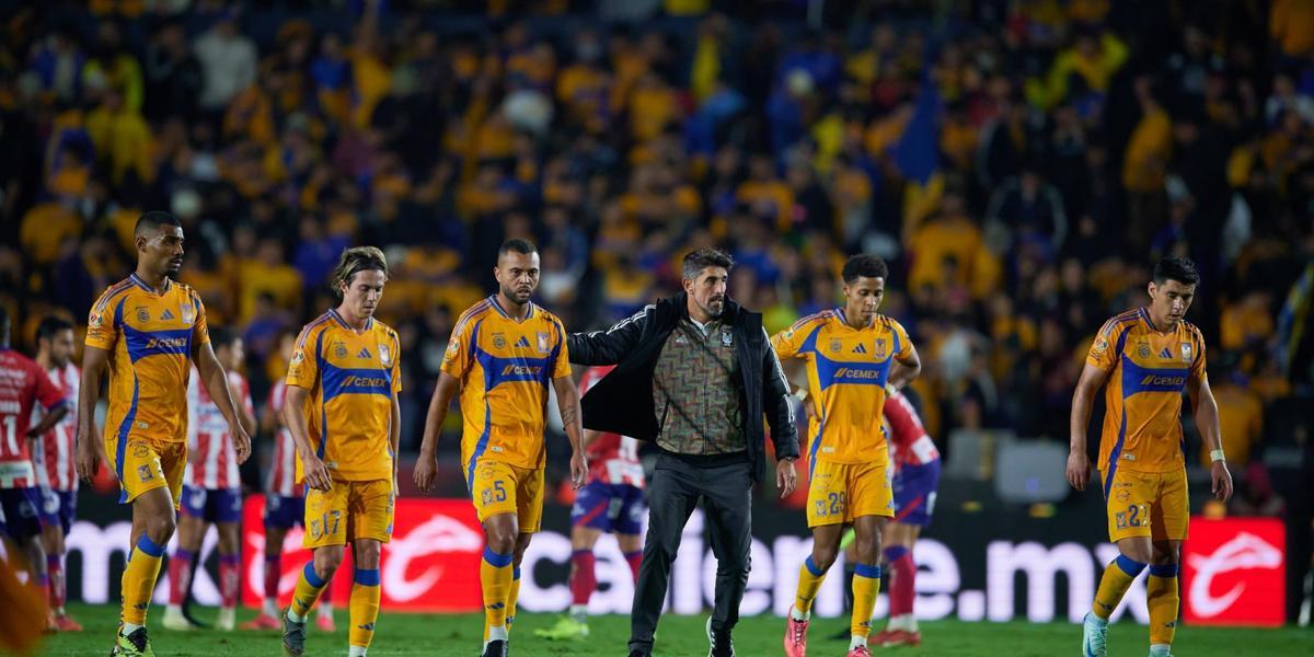 Tigres / Foto: MexSport