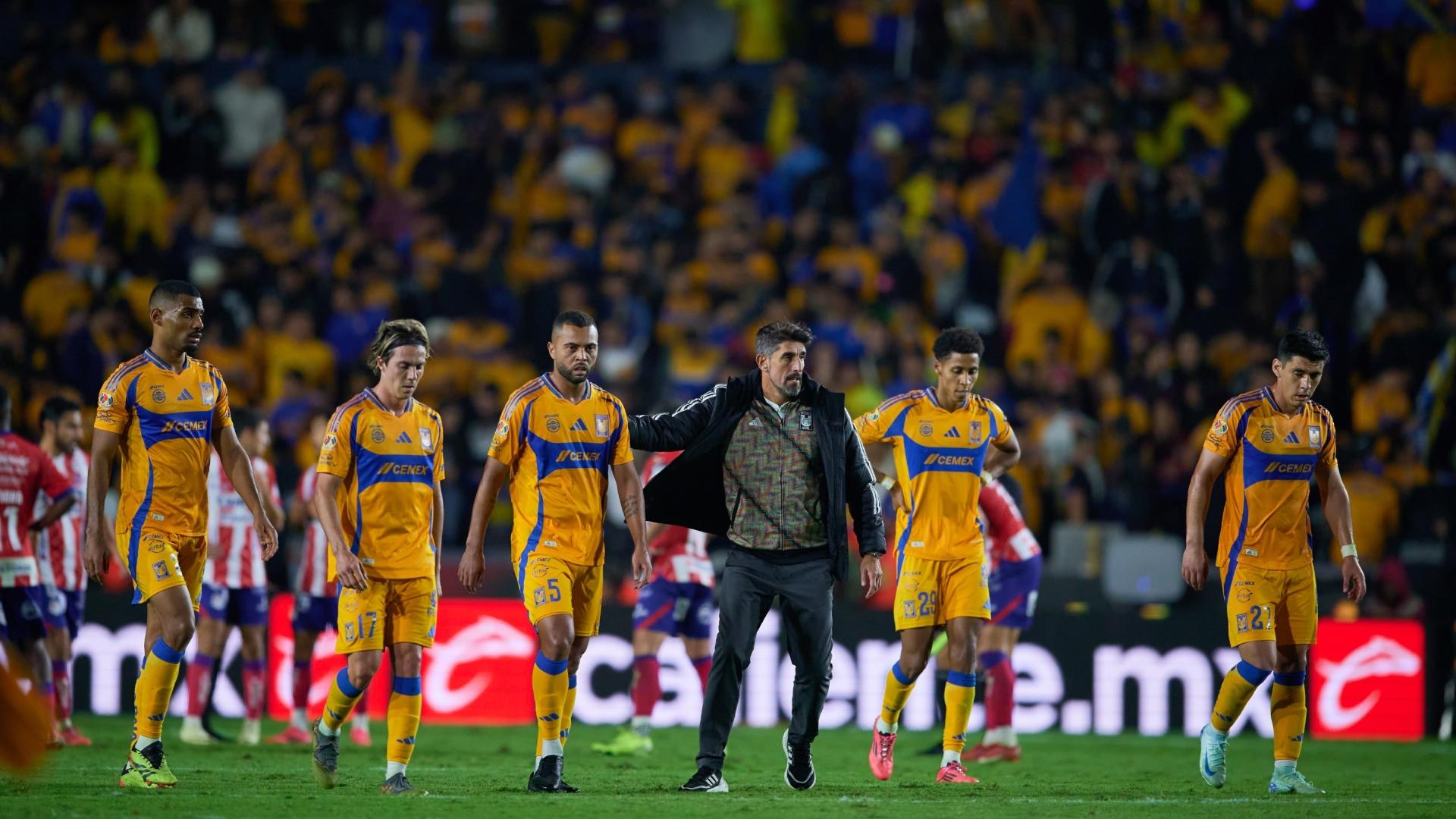 Tigres / Foto: MexSport