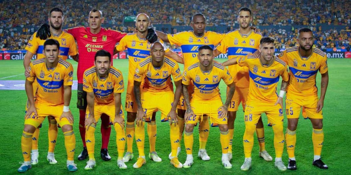 Tigres Foto: Vavel.com