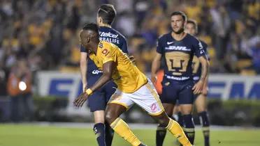 Tigres parte como el favorito 