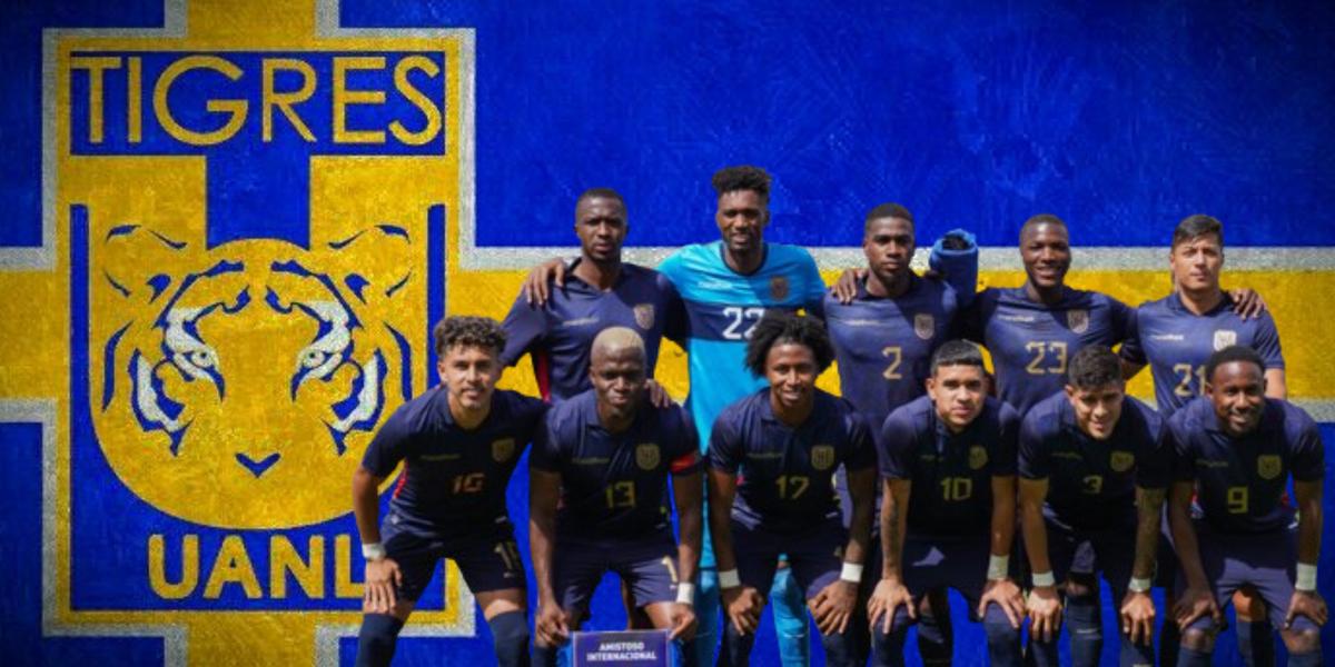 En la selección de Ecuador,  Tigres podría tener a su nuevo refuerzo para 2024