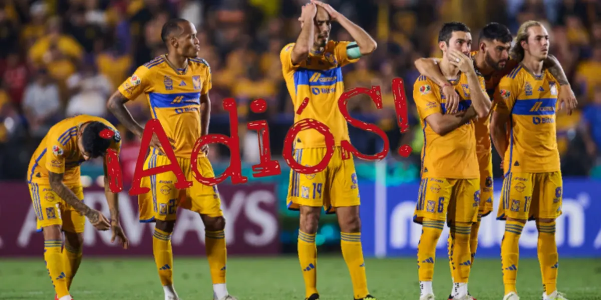 Este póker de jugadores no formados en México no entra en planes de Tigres