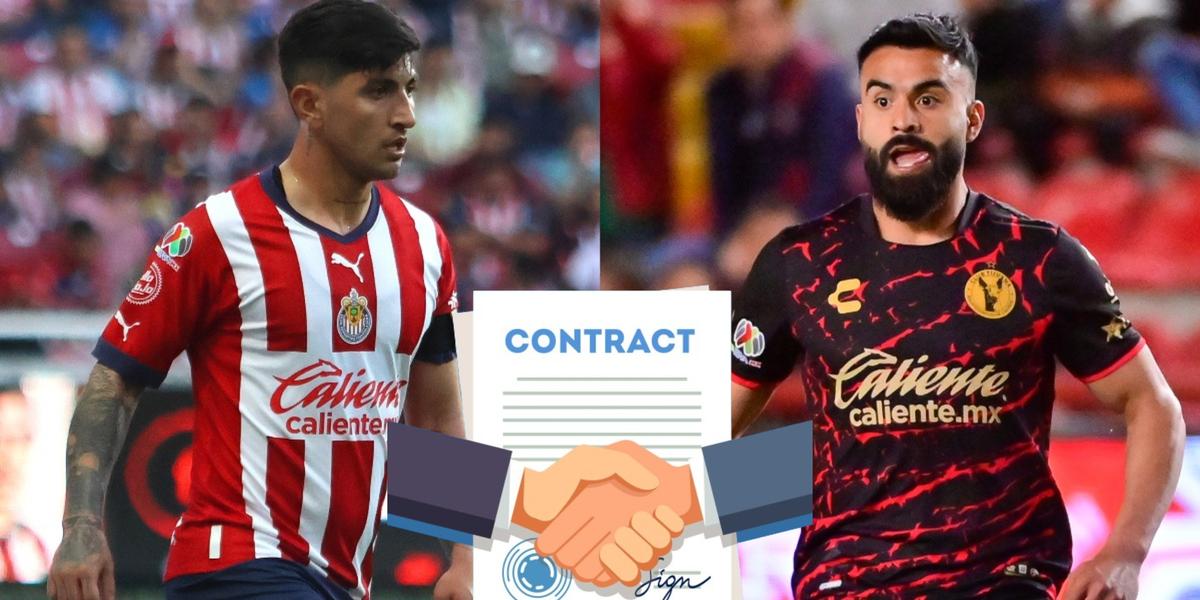 Xolos vs Chivas, anuncian transferencia para Chivas, llega un nuevo jugador 